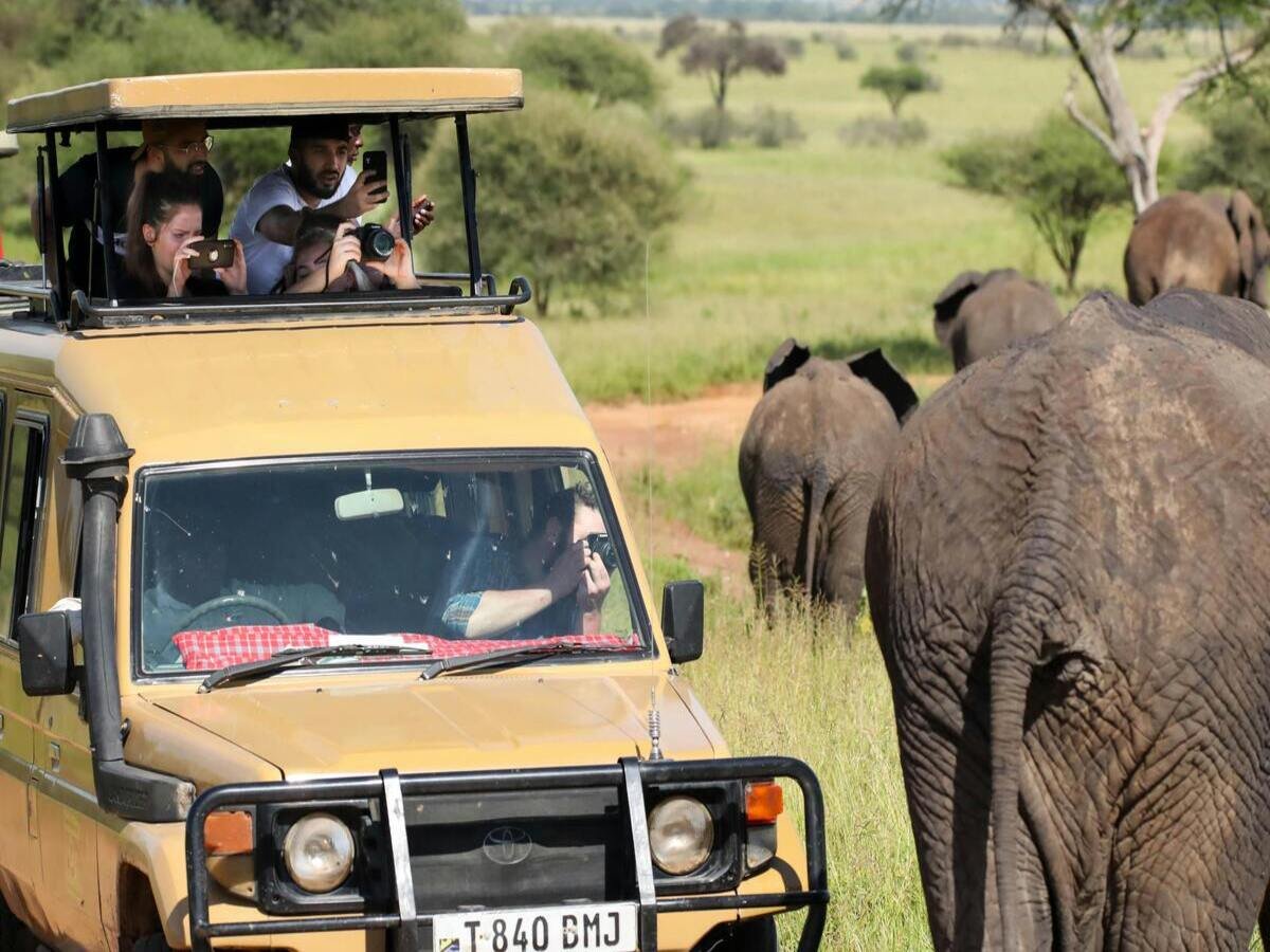 Private Luxury Safari